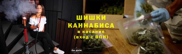 шишки Алзамай