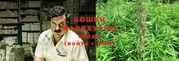 шишки Алзамай