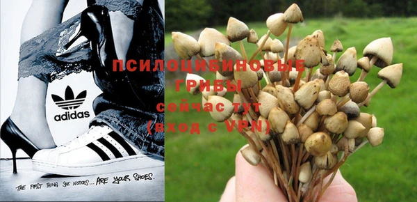 шишки Алзамай